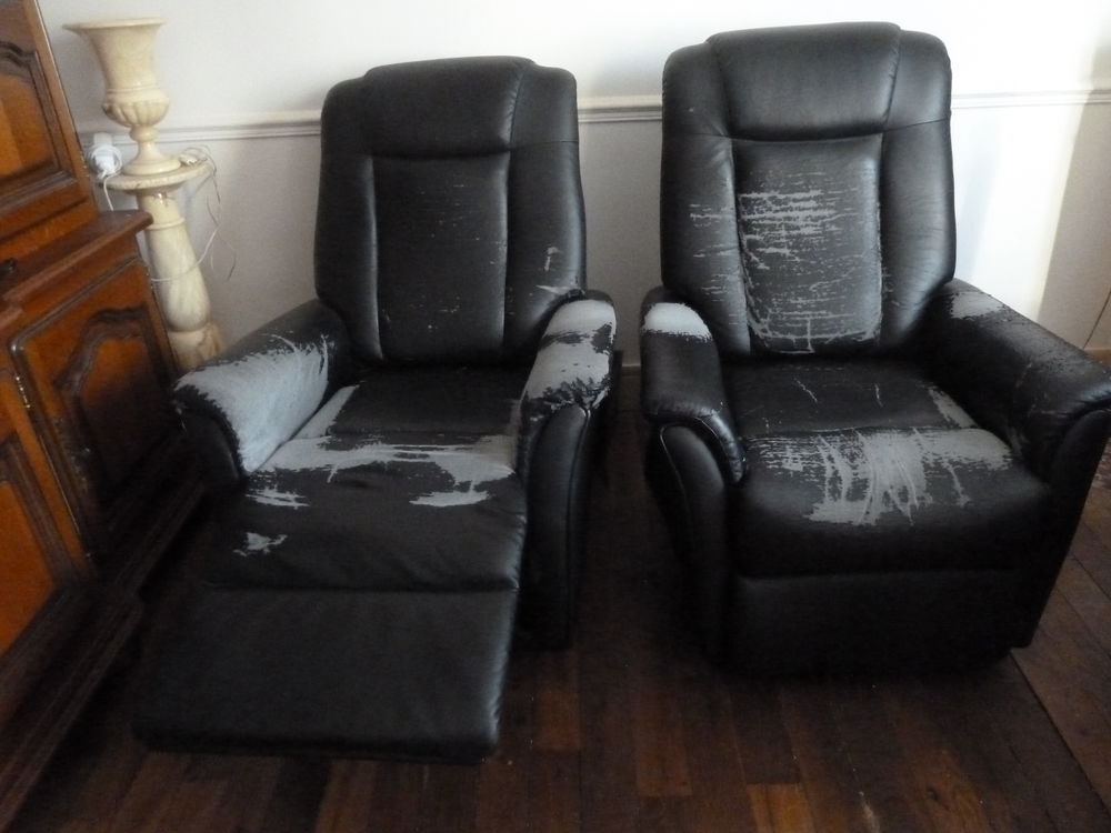 deux fauteuils &eacute;lectrique en Ska&iuml; - Meubles