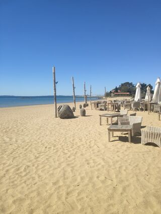 Location  Appartement 