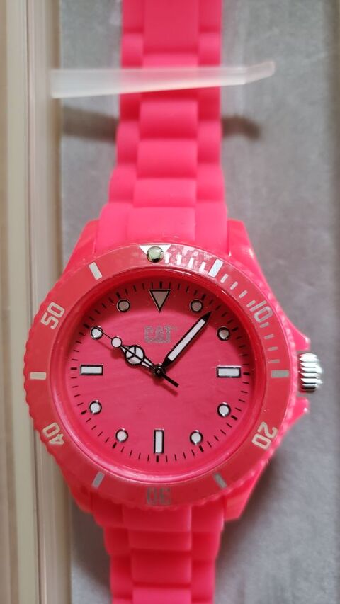 montre femme 10 Viviers-du-Lac (73)