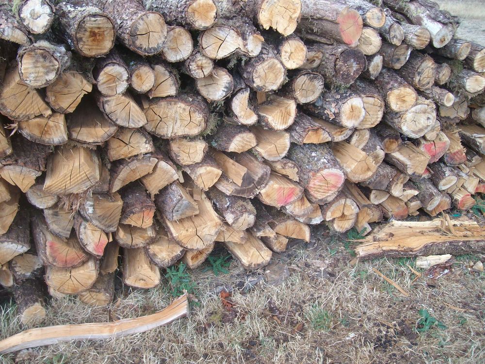 vd 5 st&egrave;res de bois sec scier en 1 metre Bricolage