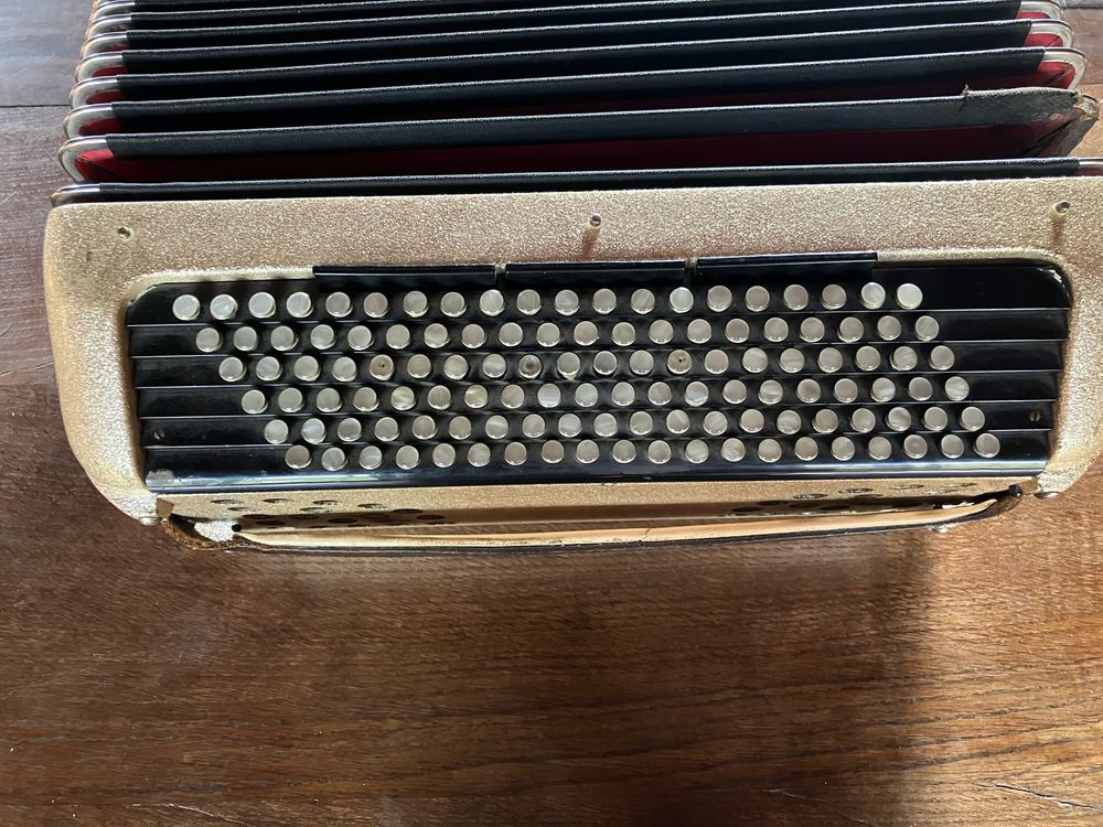 accord&eacute;on 120 basses Cavagnolo Instruments de musique