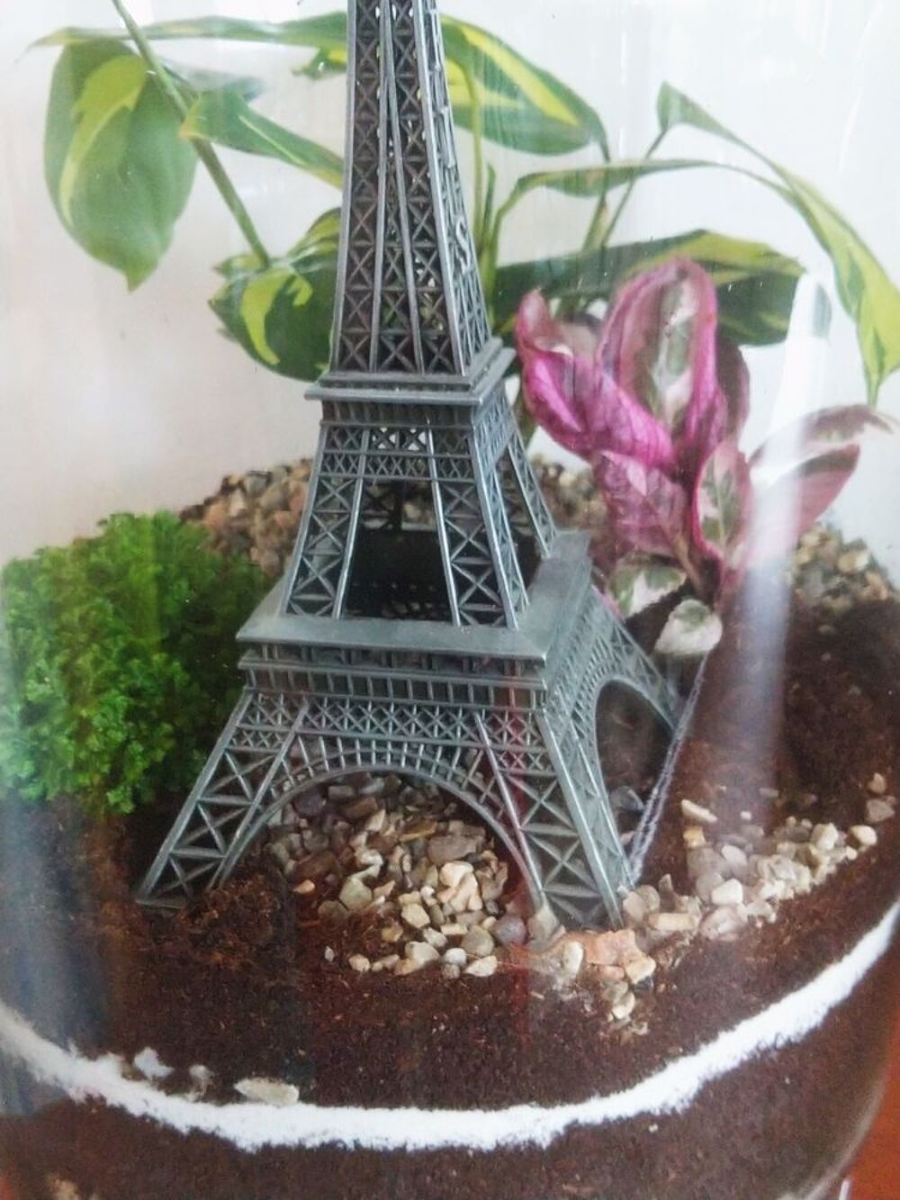 Terrarium tour Eiffel Décoration