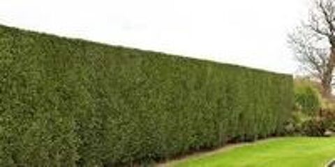   jardinier 