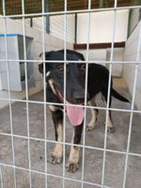   REBECA 