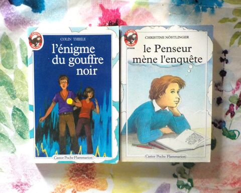 2 CASTOR POCHE L'ENIGME DU GOUFFRE NOIR et LE PENSEUR MENE L 2 Bubry (56)