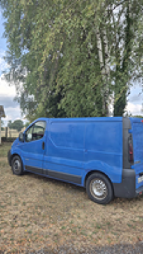 Trafic TRAFIC FGN L1H1 1200 KG 1.9 dCi 80 2001 occasion 87380 Magnac-Bourg