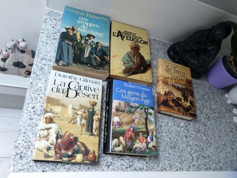 Romans divers
7 Melun (77)