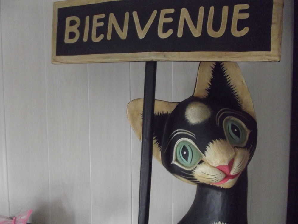 CHAT DE BIENVENU Décoration