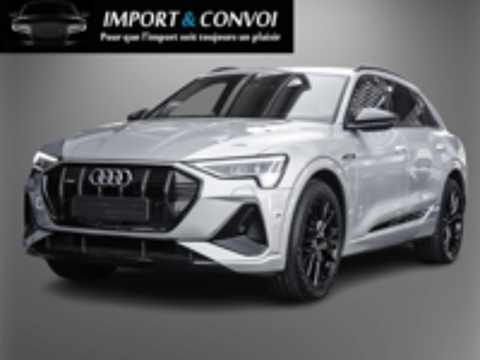 Annonce voiture Audi E-TRON 78580 
