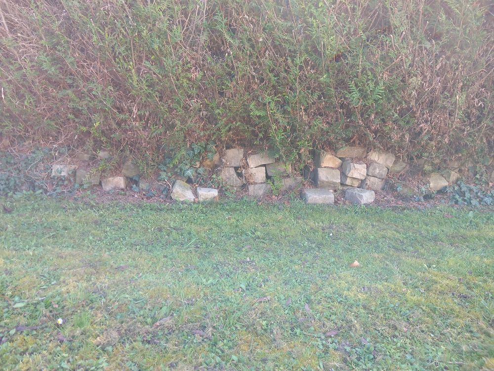 vous avez besoin de pav&eacute;s Jardin