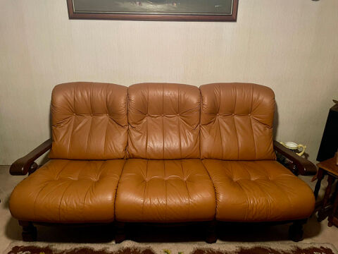 Canap cuir 100 Lutterbach (68)