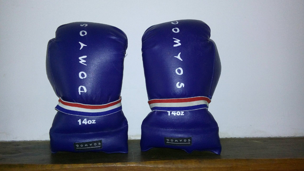 gants de boxe Domyos - 14 oz Sports