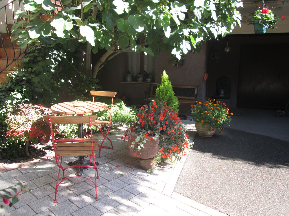   GÎTE DE CHARME 3 * sur LA ROUTE DES VINS D'ALSACE Alsace, Orschwihr (68500)