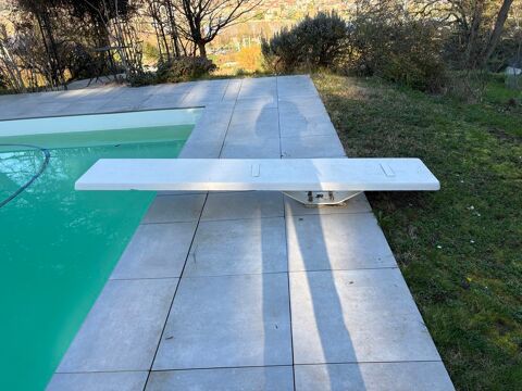 PLONGEOIR DE 2.40 M SUR SOCLE  290 Fleurieu-sur-Sa�ne (69)