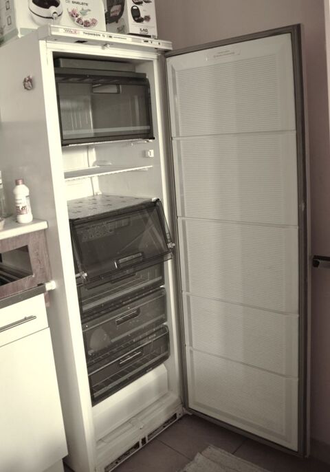 cong�lateur THOMSON 180 Flogny-la-Chapelle (89)