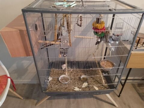 1 cage voliere et une cage pour perruches 140 26240 Saint-vallier