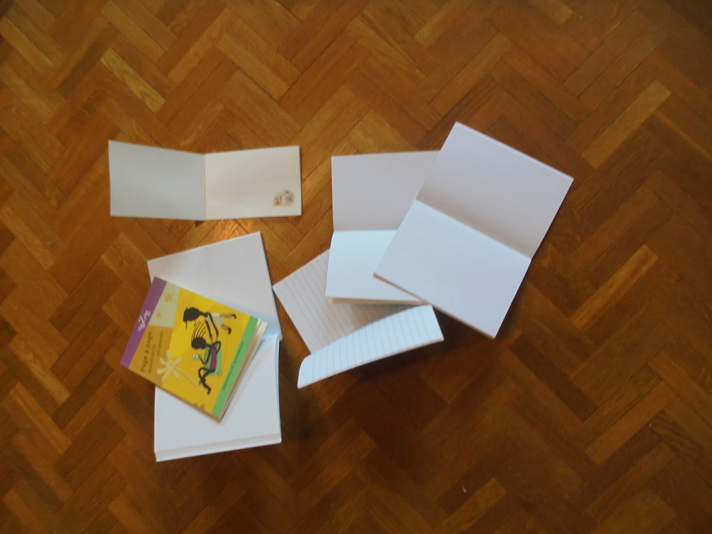 6 carnets diff&eacute;rents (38) Livres et BD