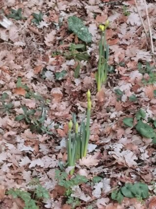  Terrain � vendre 3209 m�