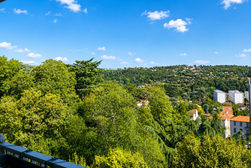 Vente Appartement Appartement Oullins 5 pièce(s) avec vue incroyable sur Lyon Oullins