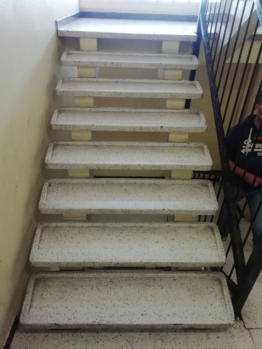 Marches d'escalier en Terrazzo poli Bricolage