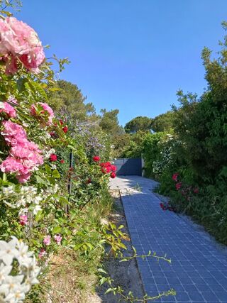  Chambre  louer 1 pice 14 m Salon-de-provence