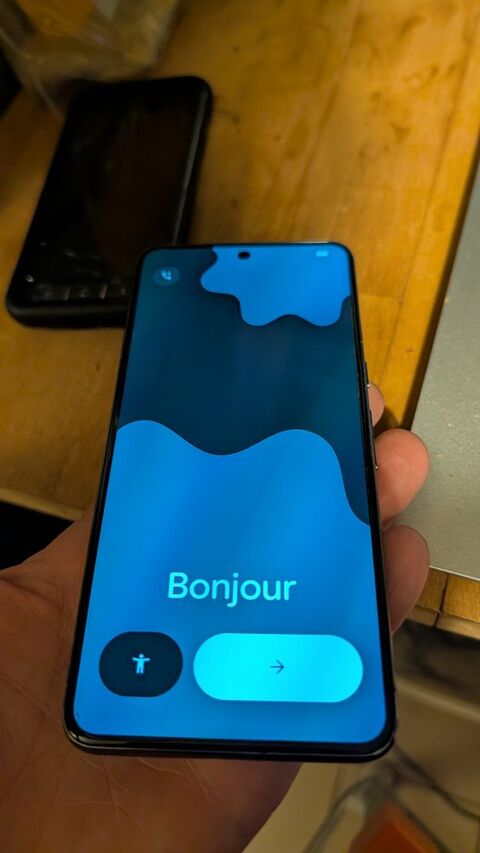 Google pixel 8 pro 200 Lyon 2 (69)