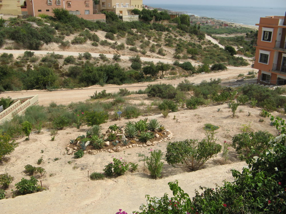 Vente Terrain Terrain à bâtir situé à Agadir commune de Tamraght Tamraght (agadir) (Maroc)
