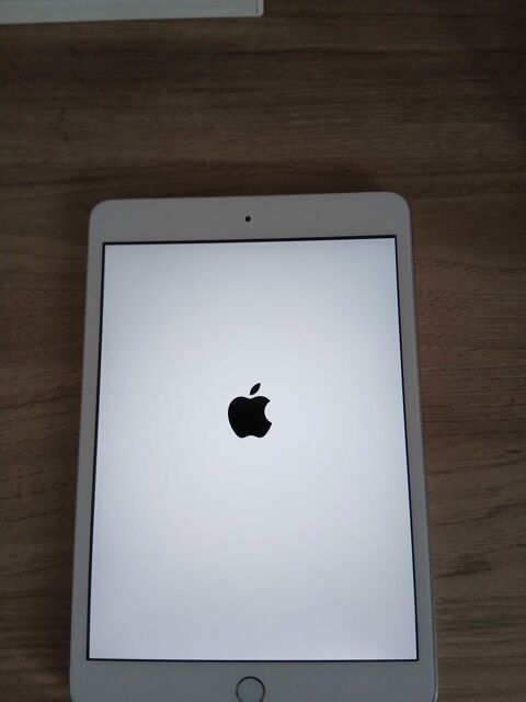 ipad mini 3 800 Biarritz (64)