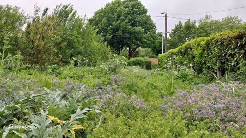 Donne jardin 0 79500 Melle