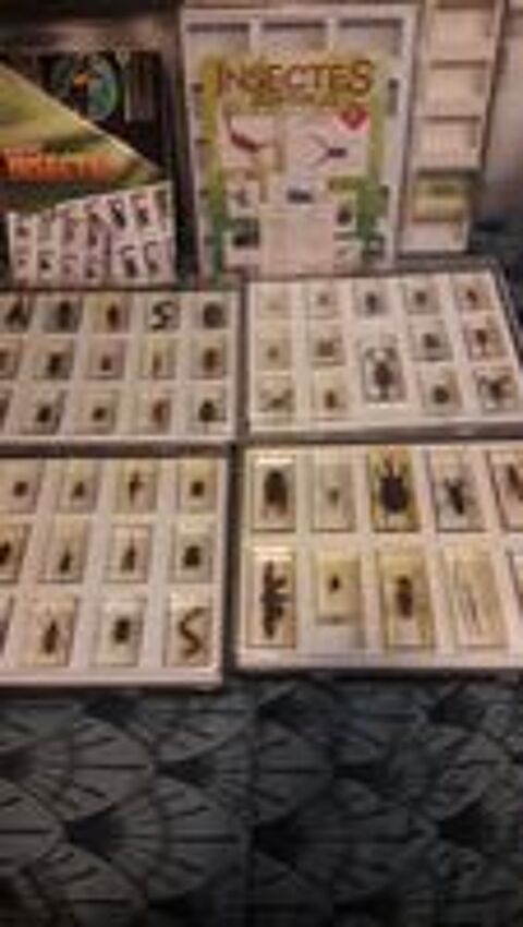   54 INSECTES PRIS DANS RESINE + FASICULES ET 6 COFFRETS 