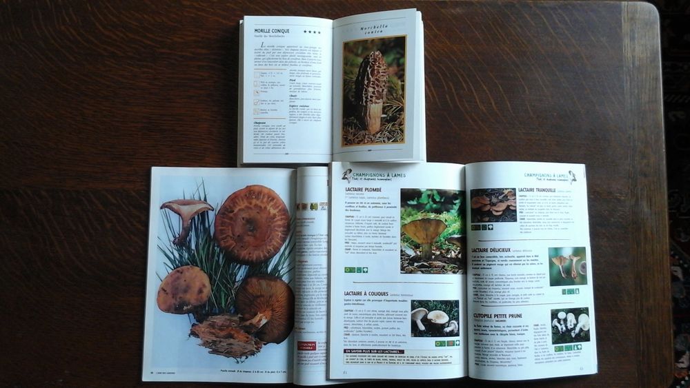 Livre sur les champignons Livres et BD