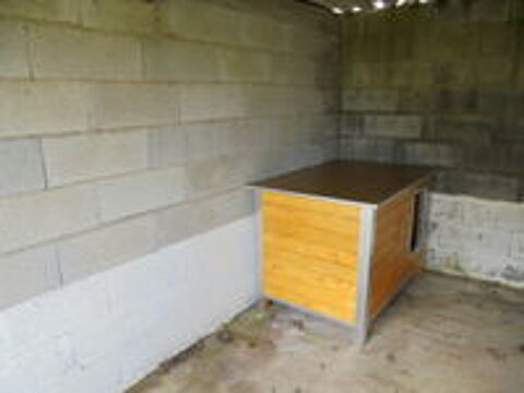   pension canine et feline  