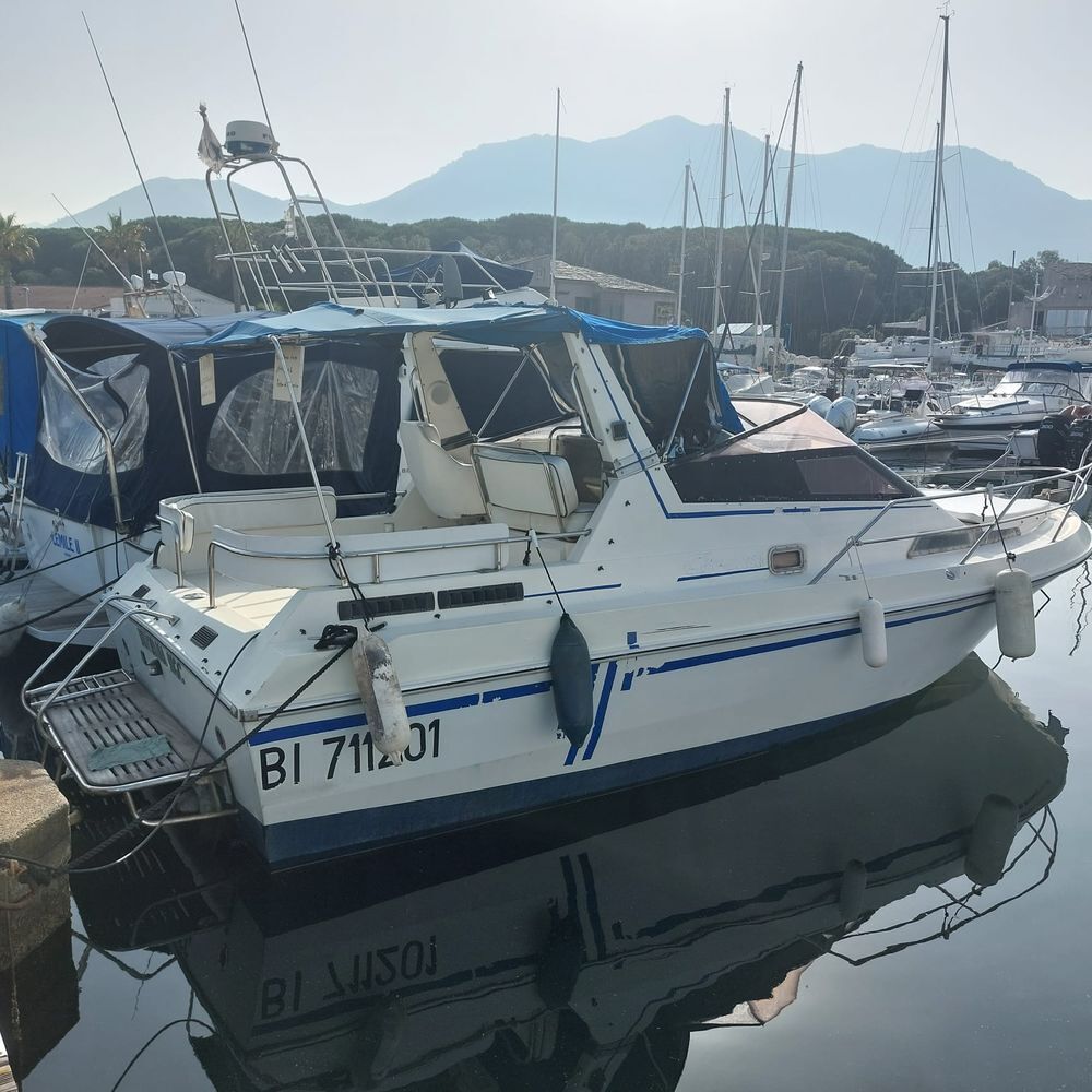 Vedette - Yacht - Offshore 1987 occasion 20230 Moriani Plage