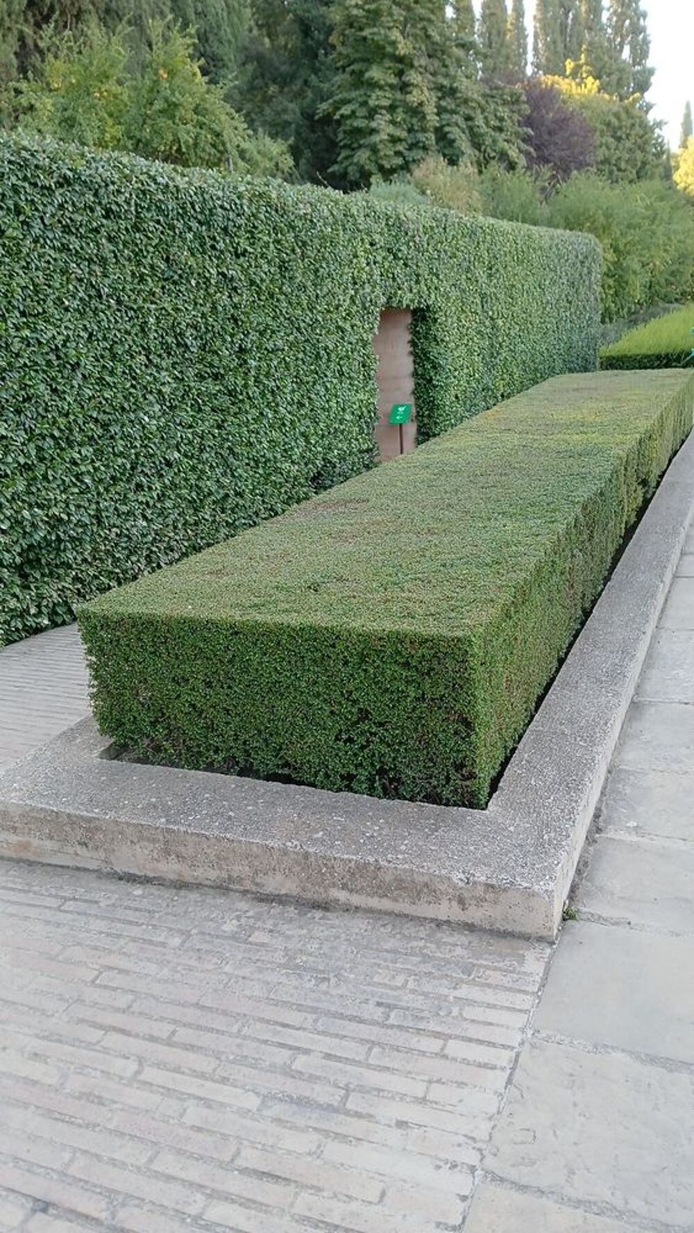   Création et entretien des espaces verts et multi-services  