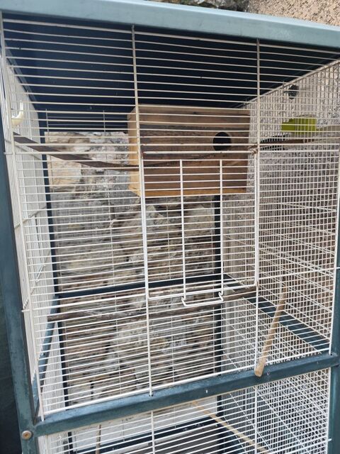 Grande cage pour oiseaux  35 84360 M�rindol