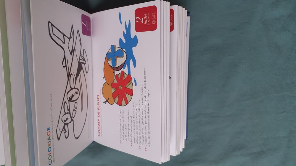 Livre fiches une activit&eacute; par jour pour mon enfant Livres et BD