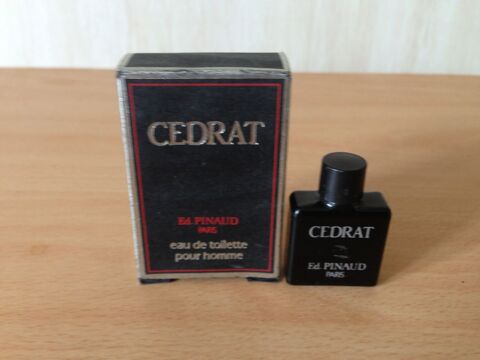 MINIATURE DE PARFUM 4 Trouy (18)