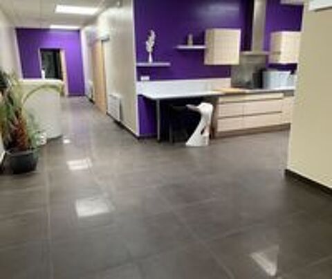   Local professionnel - 490m ² 