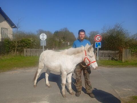 Mule,ne,randonne,bt, sacoches 72340 Chahaignes