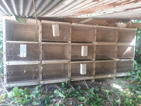 Clapier 15 cages 15 56480 Clgurec