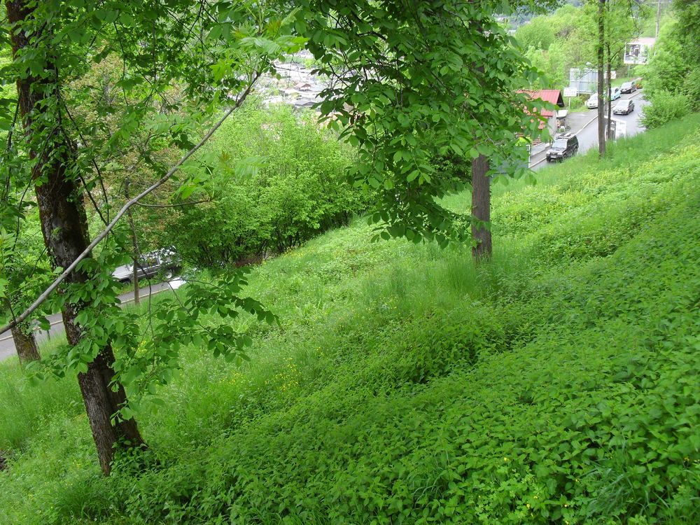 Vente Terrain terrain constructible Passy