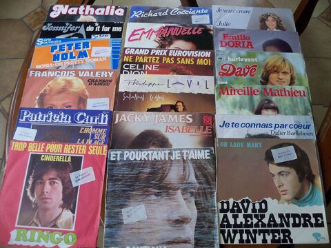 Vinyles 45t Lot 7 7 Bersée (59)