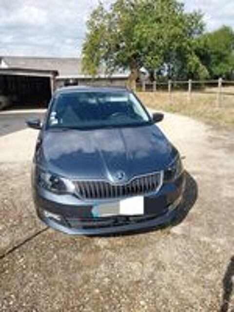 Fabia 1.2 TSI 90 ch Greentec Ambition 2014 occasion 61250 Damigny