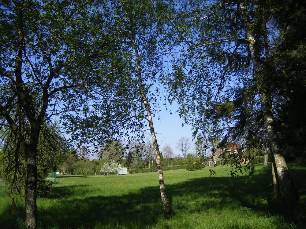 Vente Terrain TERRAIN DE 43,21 ares (4 321 m2) VIABILISÉ À RODALBE MOSELLE Rodalbe