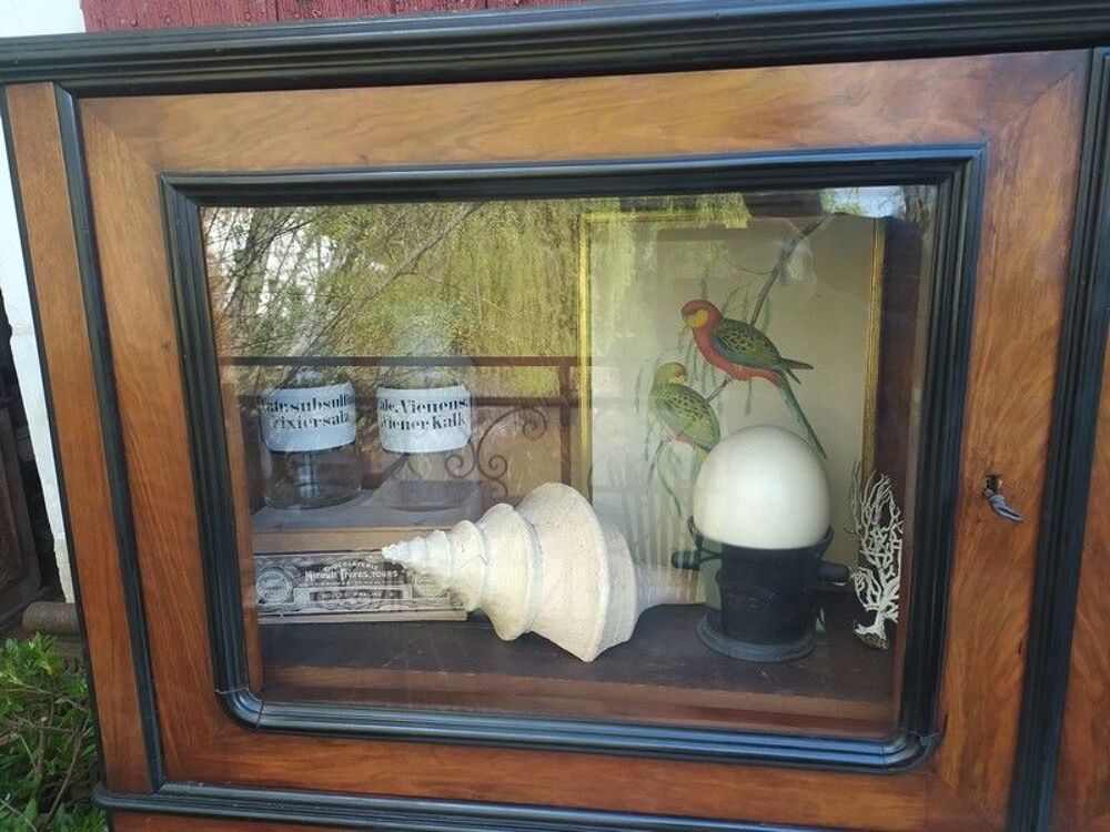 Ancien Meuble Vitrine Cabinet de Curiosit&eacute; Biblioth&egrave;que
Meubles