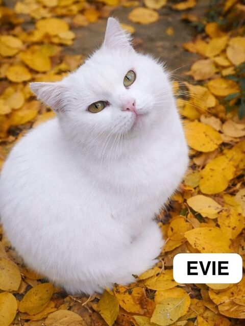 EVIE SE TROUVE DANS UN REFUGE EN UKRAINE 0 75018 Paris