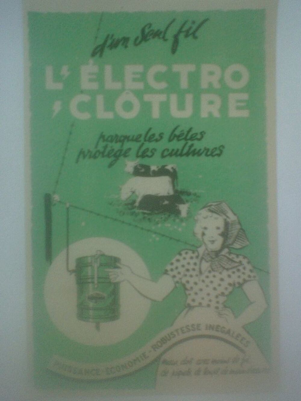 Vache Fermi&egrave;re L'Electro-Cl&ocirc;ture Henri Vannier P&eacute;ronne Somme 