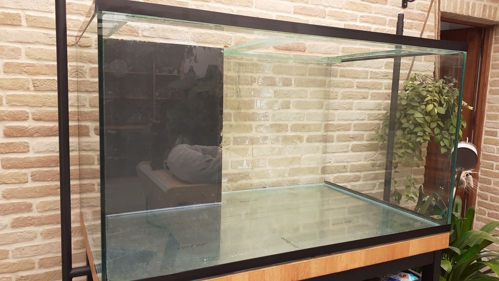 AQUARIUM 'CUVE SEULE' Décoration
