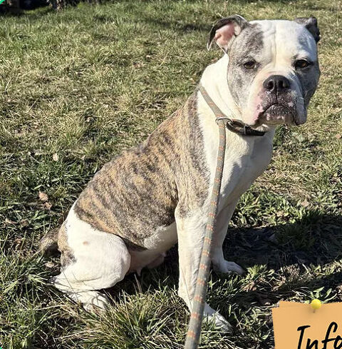 McKenna 50 26700 Pierrelatte