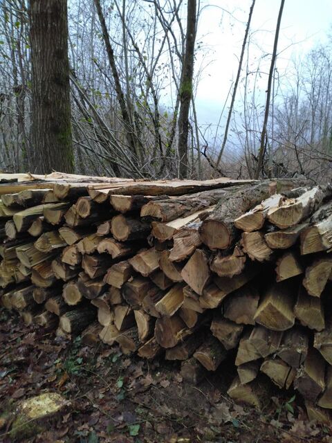 Piquets d'acacia 3 Chavannes-sur-Reyssouze (01)